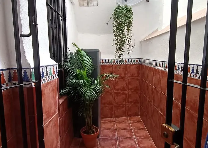 Apartamentos Alma